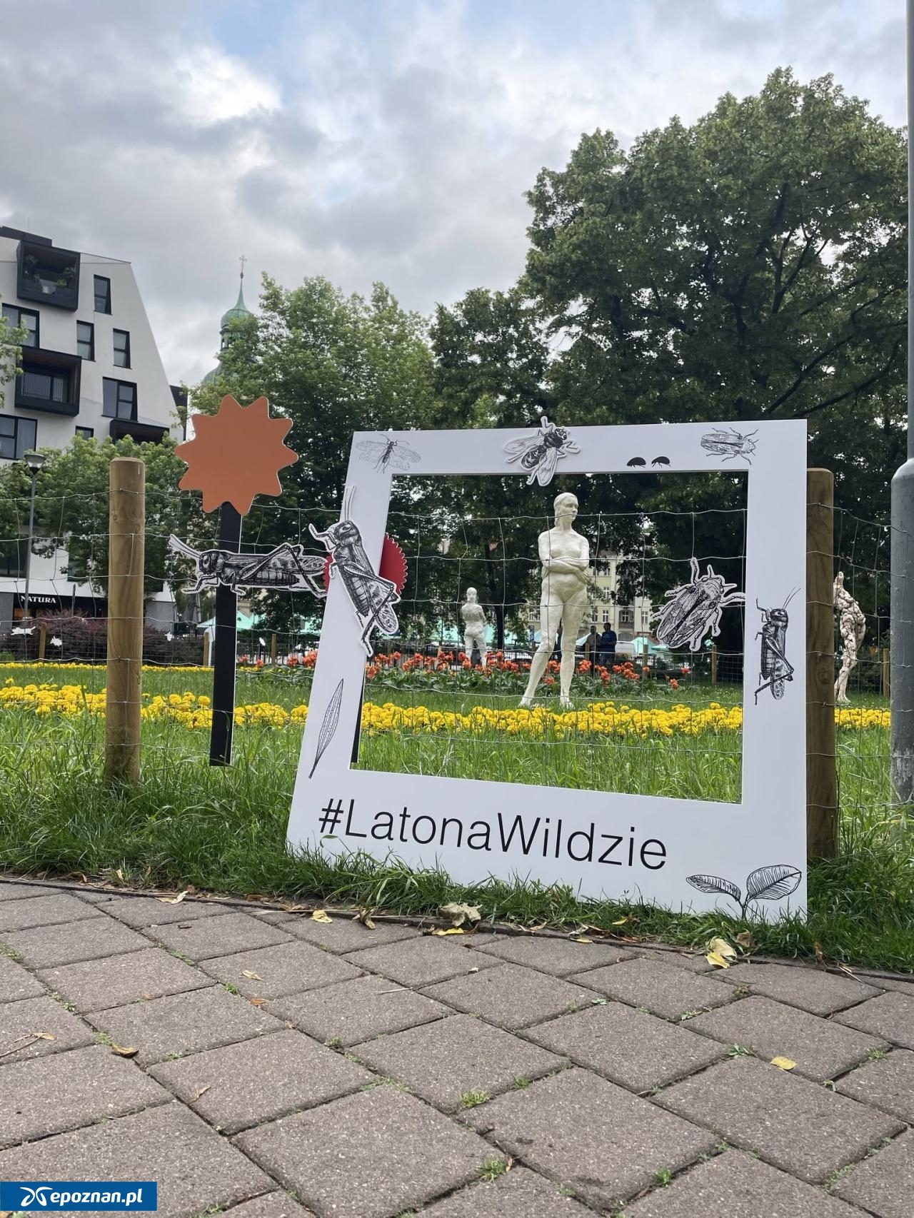 fot. Materiały organizatora