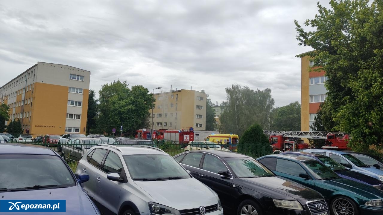 fot. Czytelnik