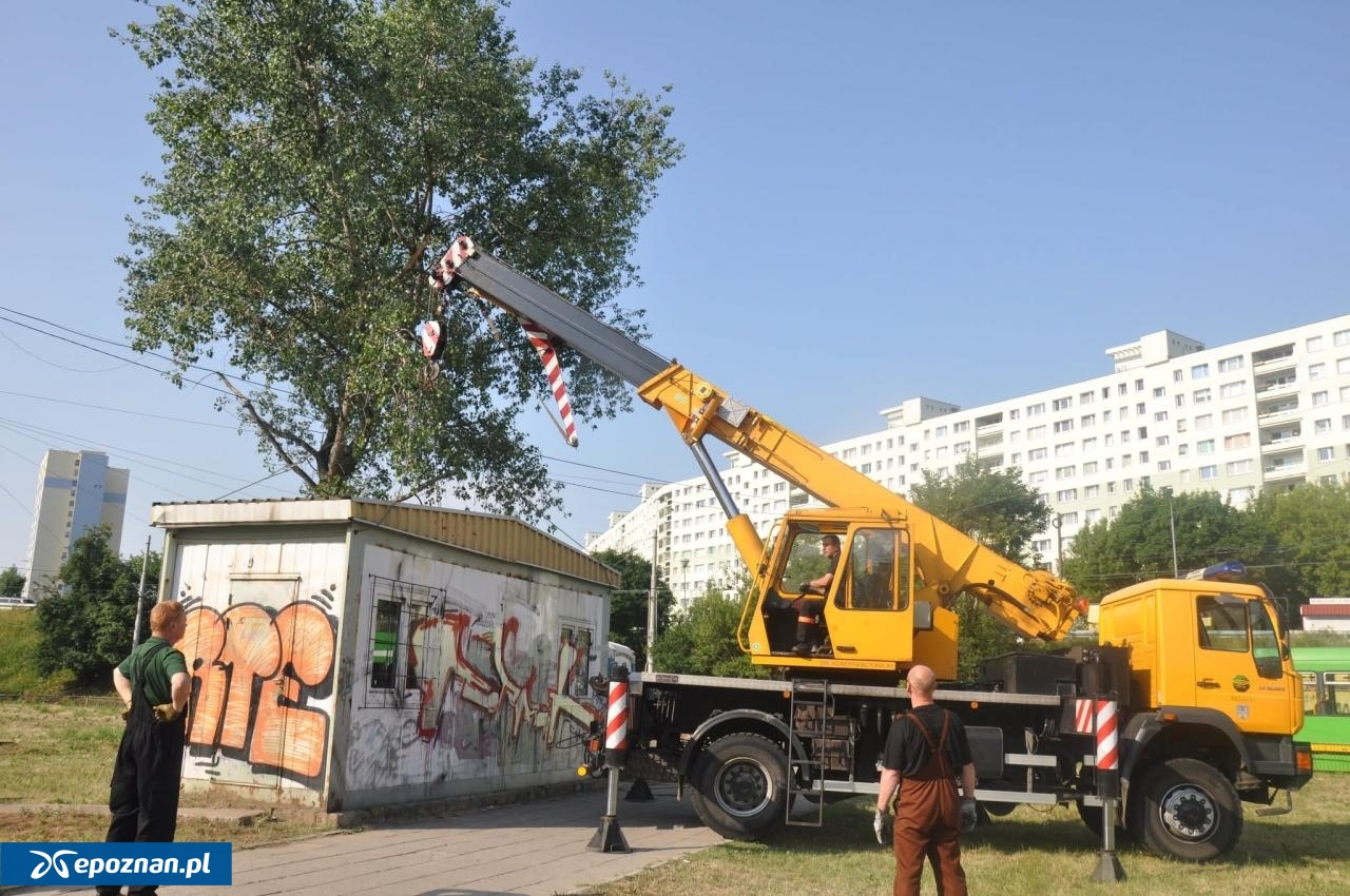 fot. MPK Poznań