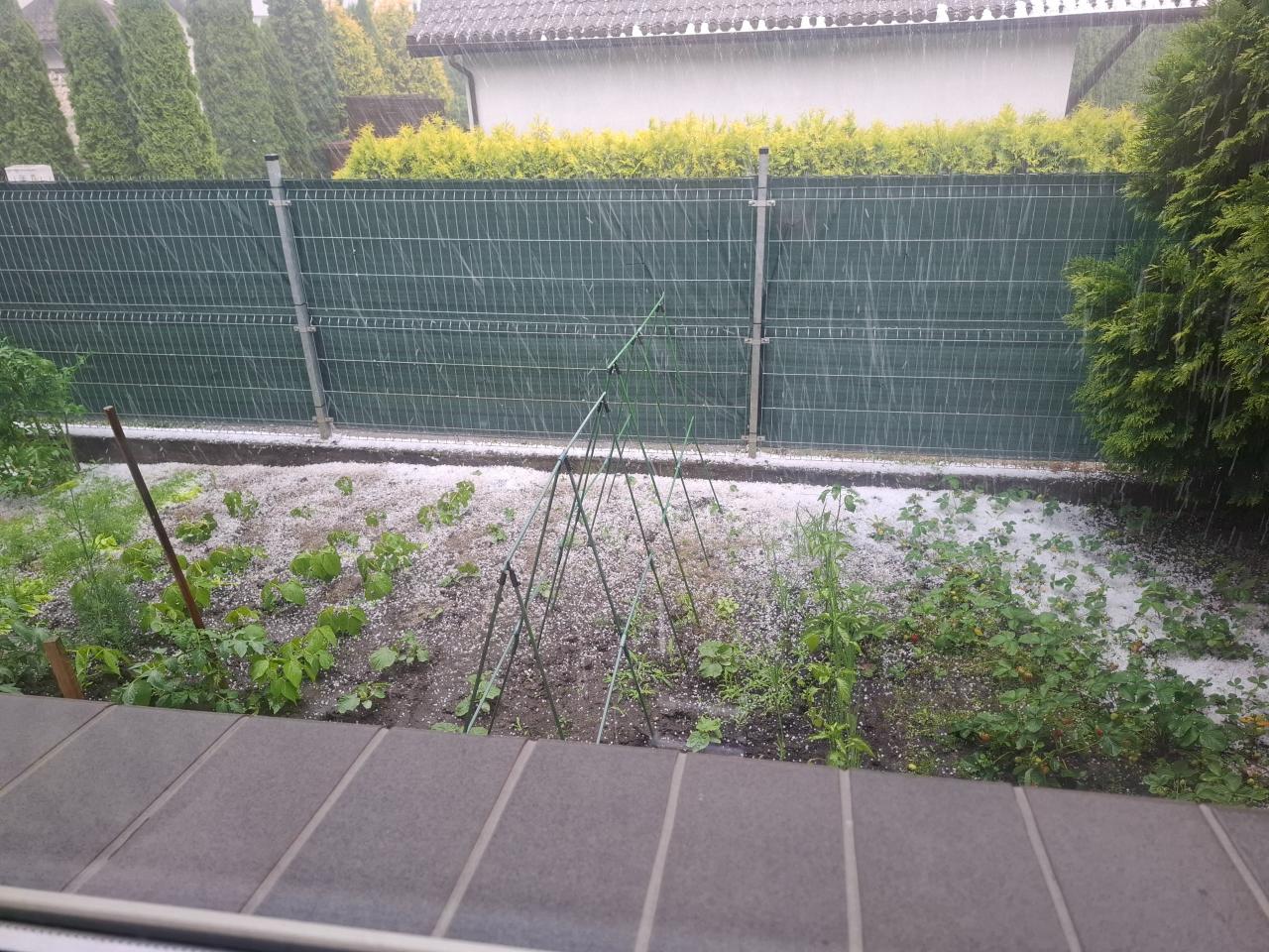 Grad pod Poznaniem