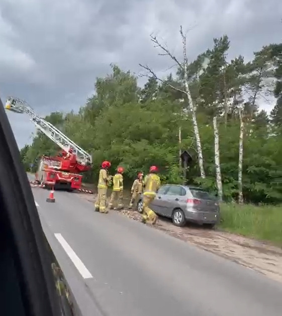 Akcja strażaków w Poznaniu. Konar spadł na samochód