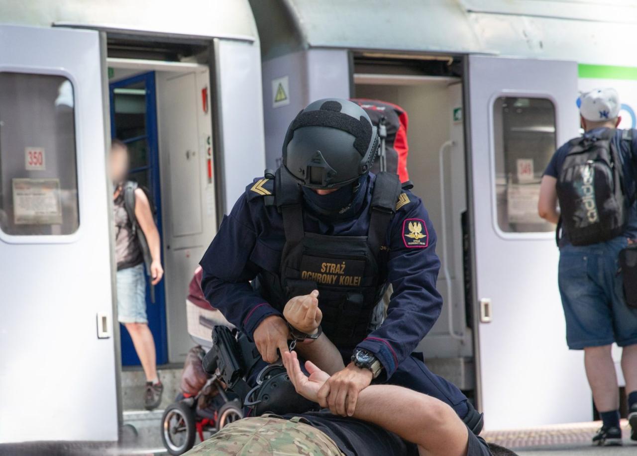 Akcja służb na poznańskim dworcu
