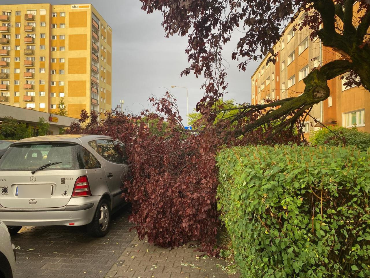 Ulewa i burza w Wielkopolsce. Strażacy odebrali już ponad 130 zgłoszeń