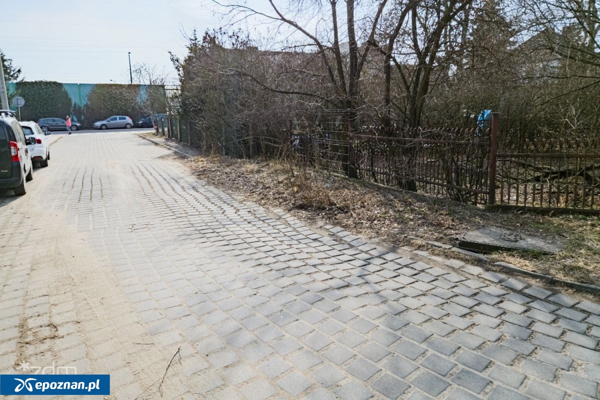 fot. ZDM Poznań