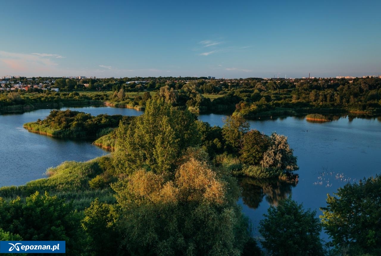 fot. UM Poznań