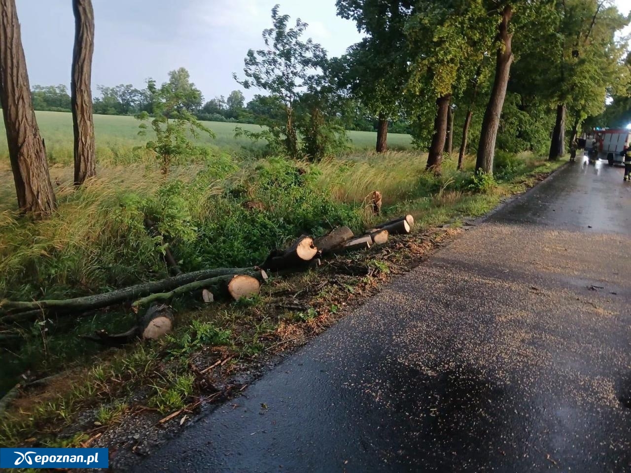 fot. PSP i OSP z terenu woj. wielkopolskiego