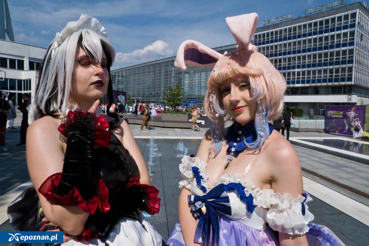 fot. Maciej Kopiński