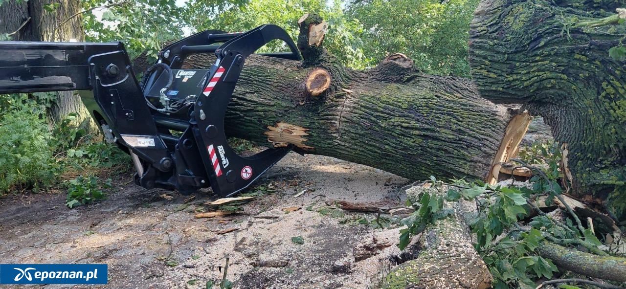 fot. Komenda Powiatowa Państwowej Straży Pożarnej w Międzychodzie