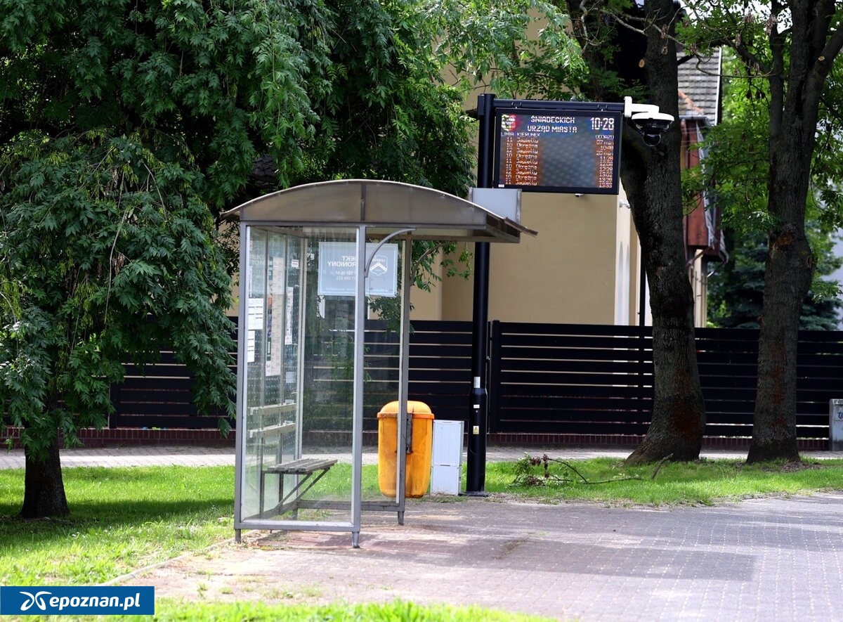 fot. leszno.pl