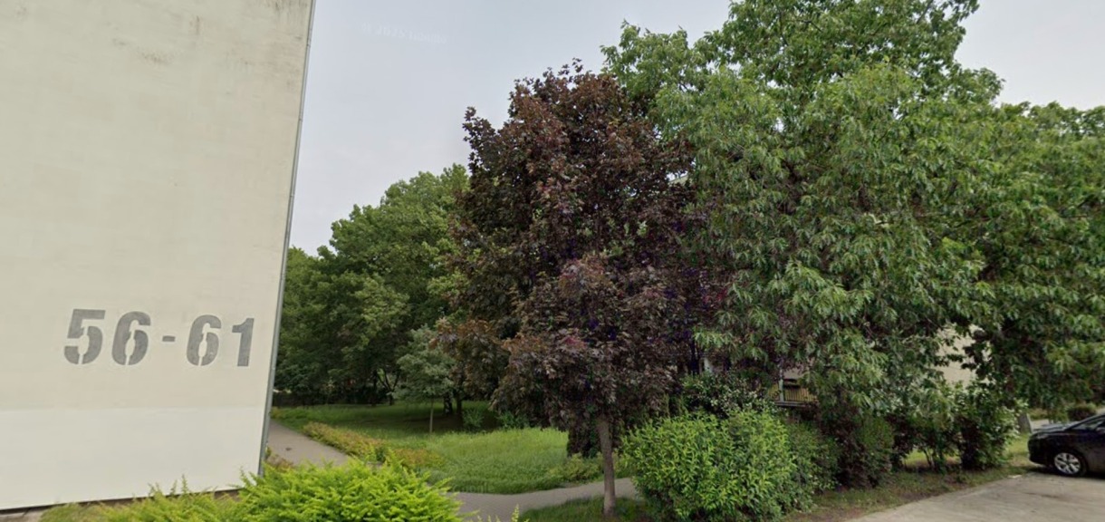 Koszmar mieszkańców poznańskiego bloku. Miesiącami mieszkali ze zwłokami, smród i muchy towarzyszą im do dziś