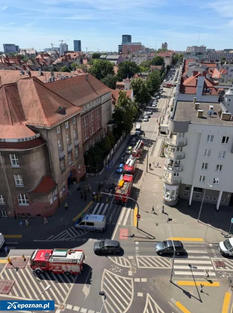fot. Czytelniczka