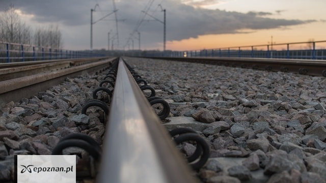 Zderzenie dwóch pociągów w regionie. Trwa akcja służb