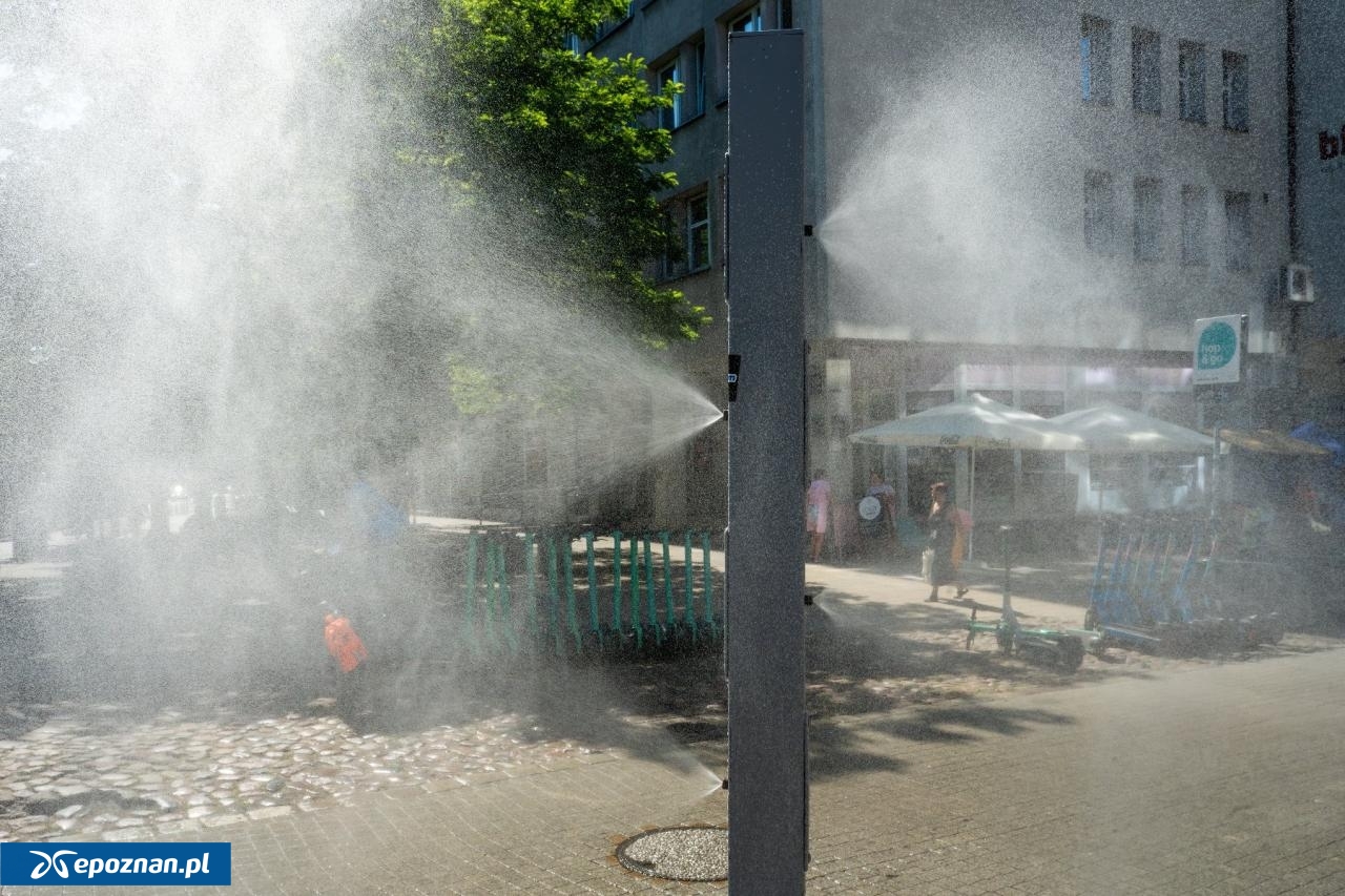 fot. UM Poznań
