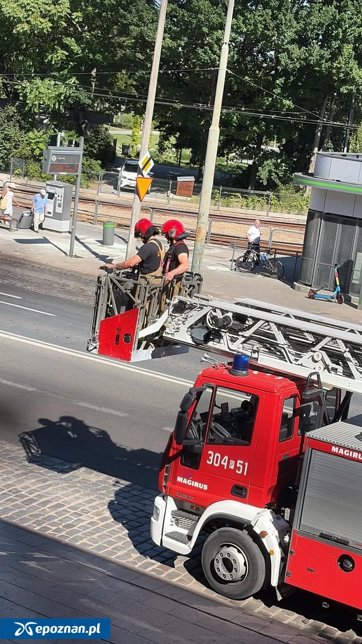fot. Czytelnik