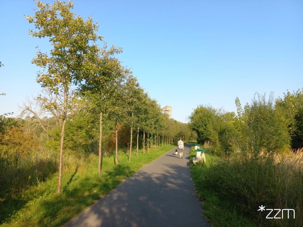 fot. ZZM Poznań