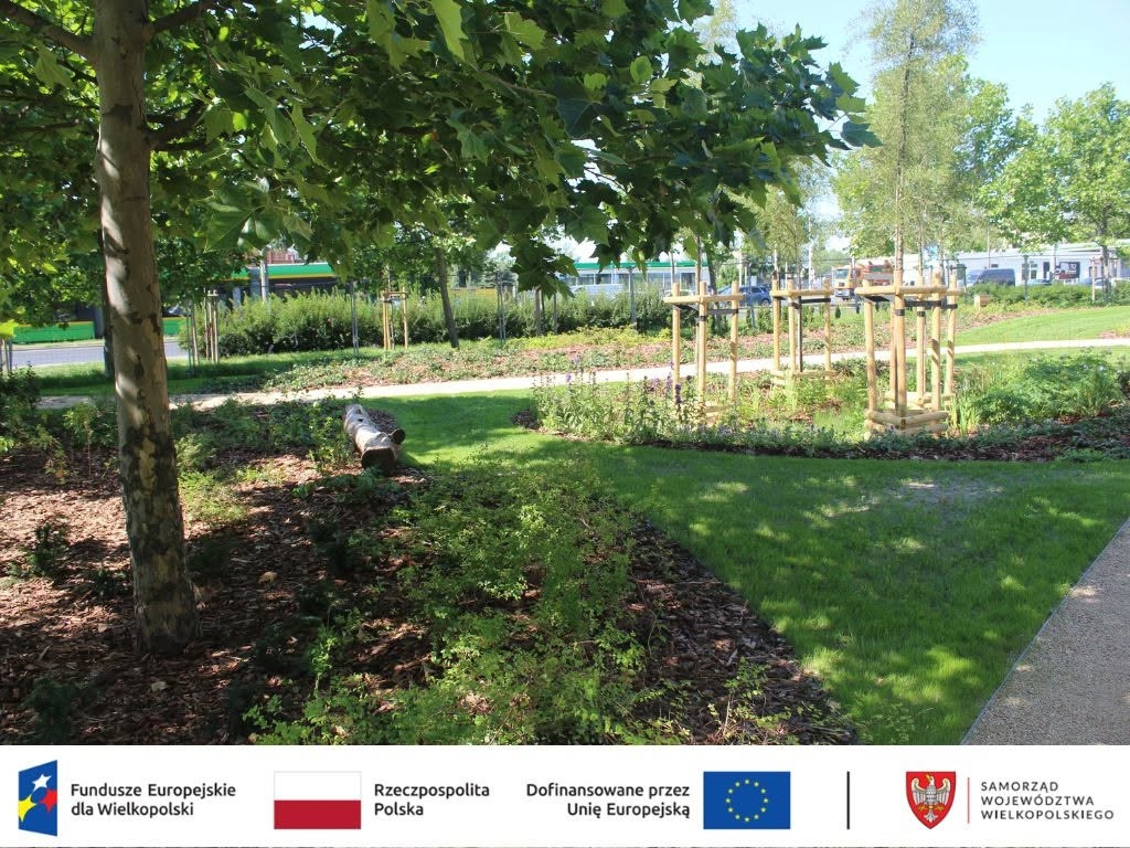 fot. ZZM Poznań