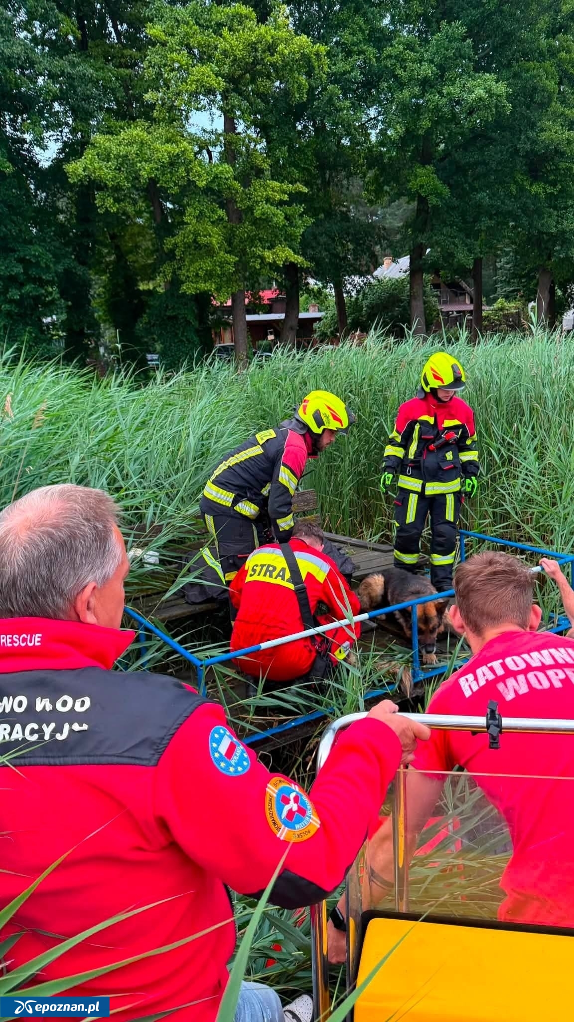 fot. OSP Rogoźno