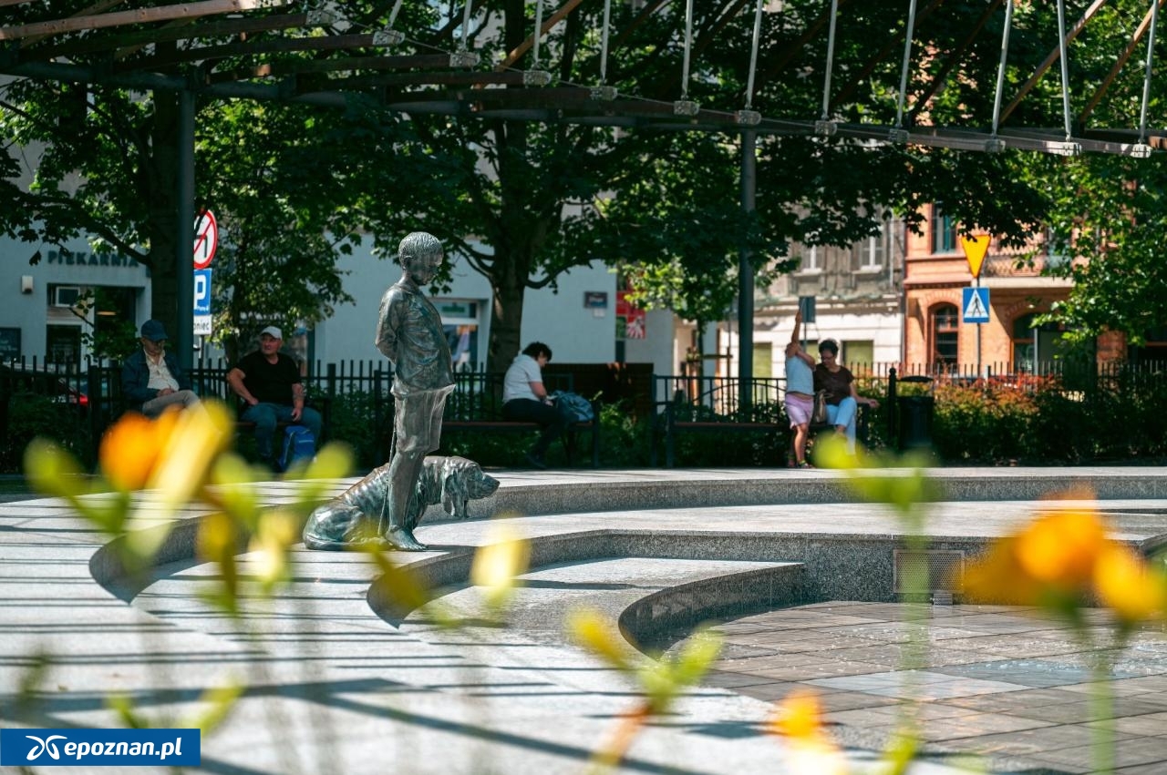 fot. UM Poznań