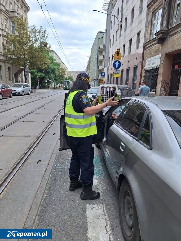fot. Straż Miejska Miasta Poznania