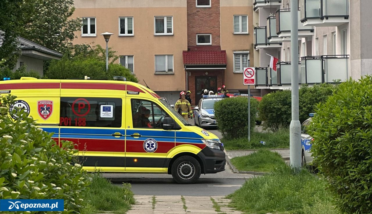 Szokujące zabójstwo pod Poznaniem. Oskarżony przed sądem zmienił zdanie