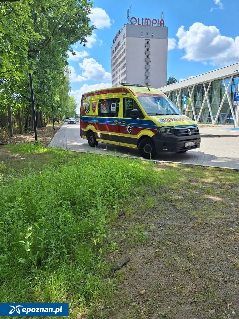 fot. Straż Miejska Miasta Poznania