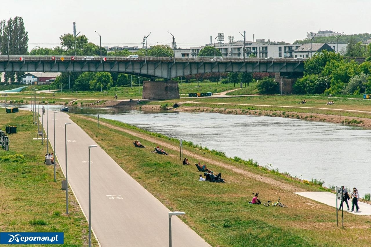 fot. UM Poznań