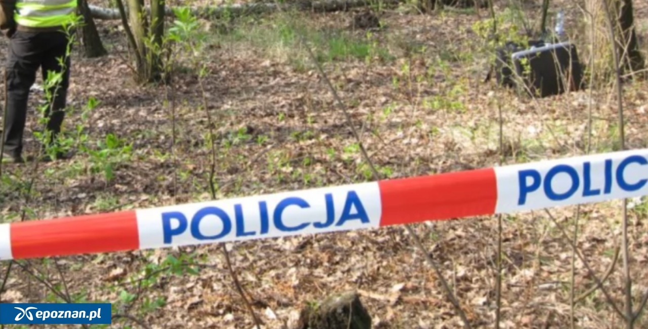 Młody mężczyzna zginął w lesie pod Obornikami. Duszono go i uderzano lewarkiem w głowę. Ciała nie znaleziono, ale jest prawomocny wyrok dla sprawców