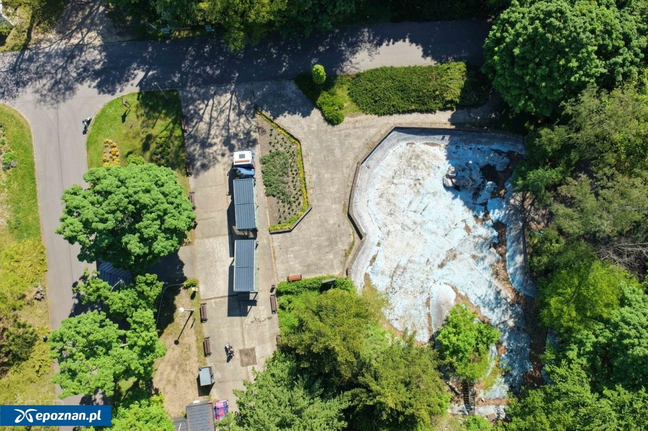 Jest przetarg na nowość w poznańskim Nowym ZOO! Opuszczony wybieg zmieni się nie do poznania