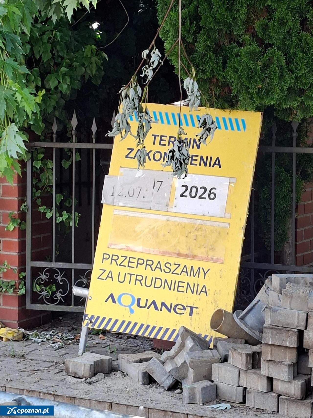 fot. Patryk Marciniak