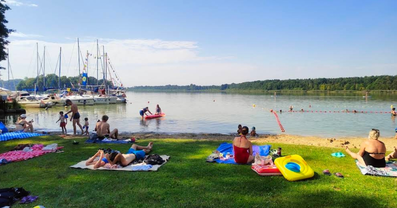 Zakwitły sinice. Kąpielisko w regionie zamknięte