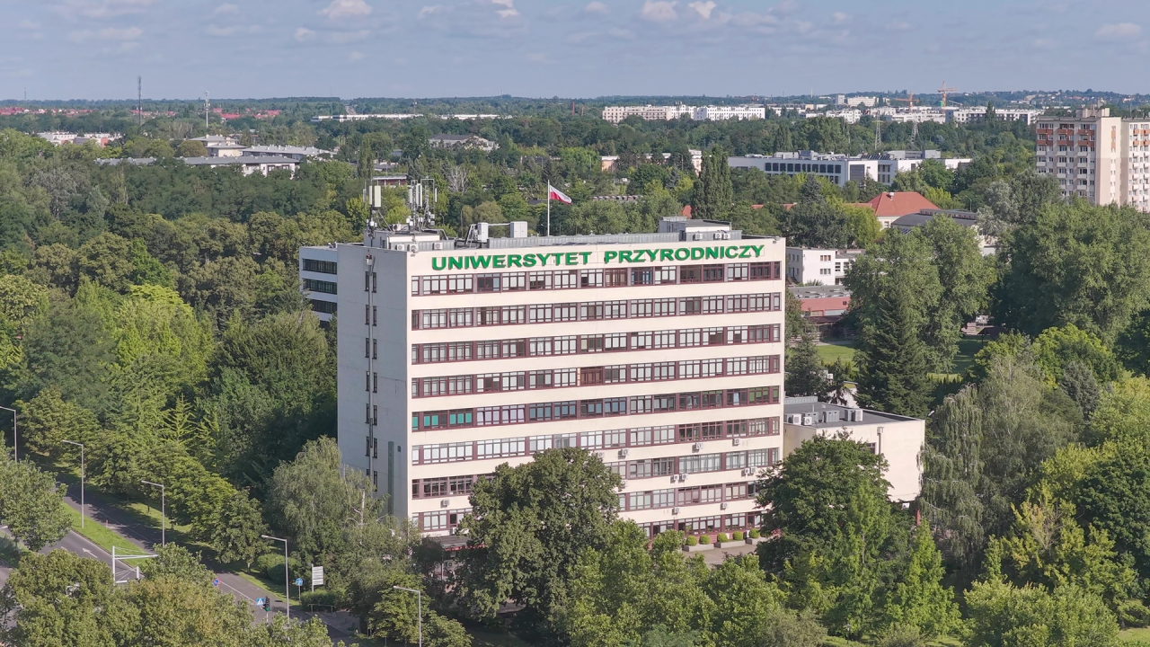 Nawet dziesięciu kandydatów na jedno miejsce na popularnym kierunku poznańskiej uczelni