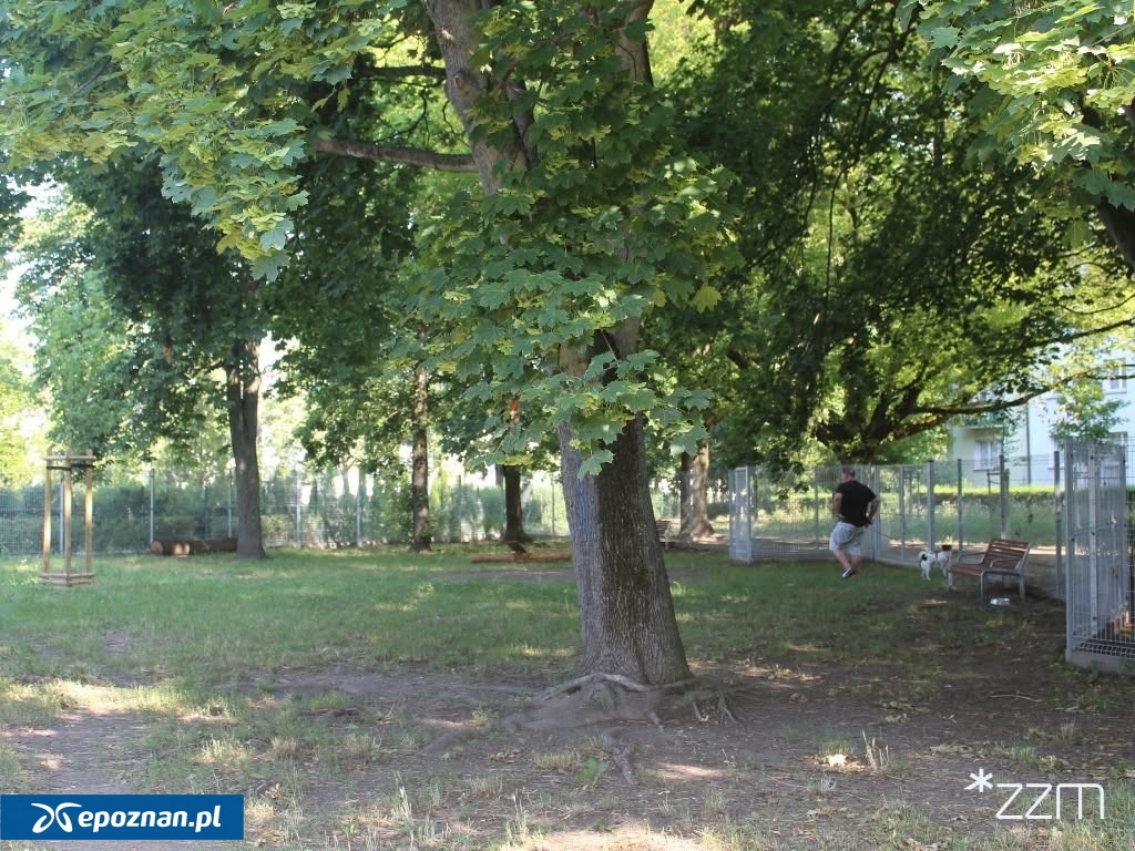 fot. ZZM Poznań