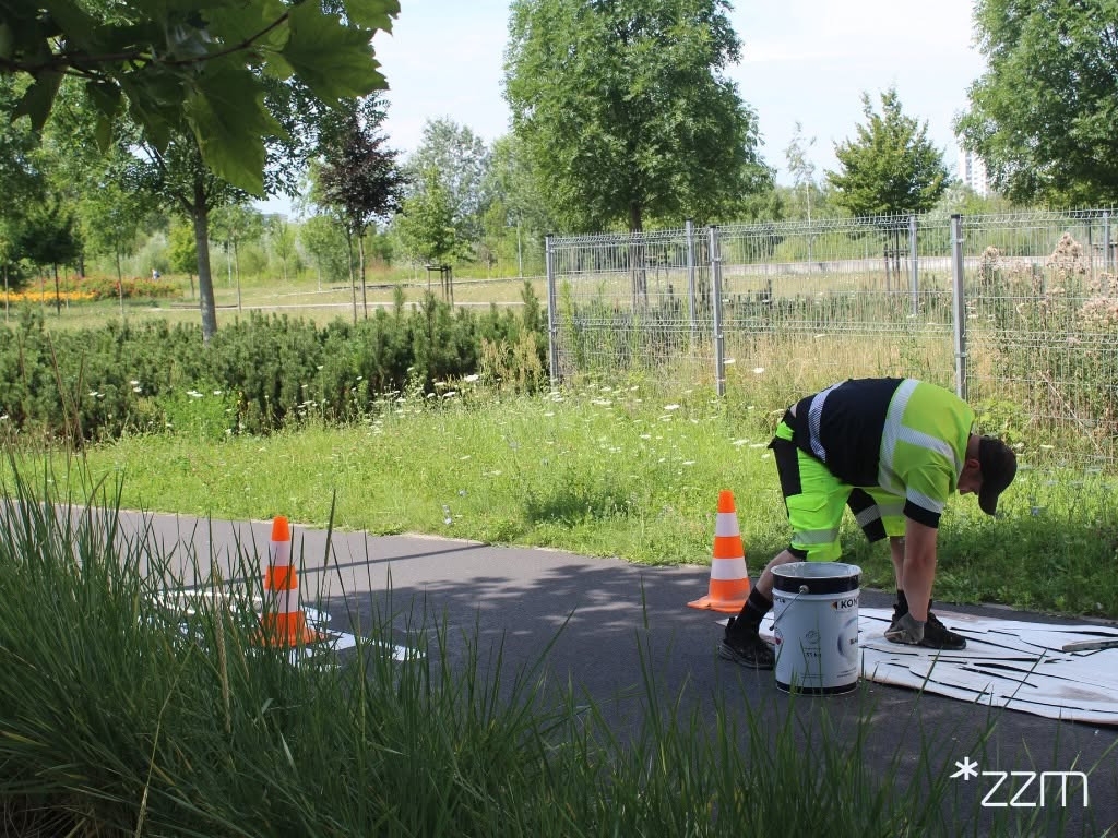 fot. ZZM Poznań