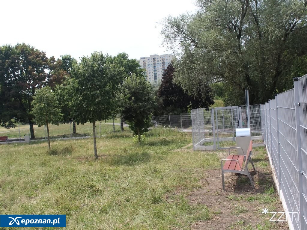 fot. ZZM Poznań