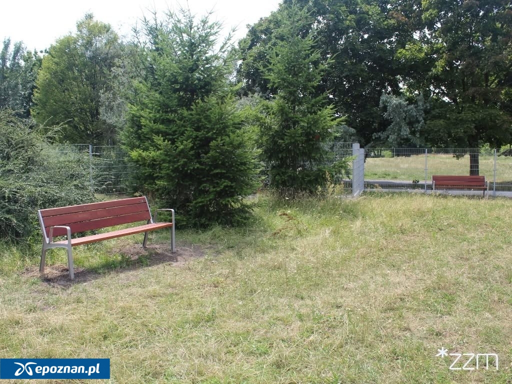 fot. ZZM Poznań
