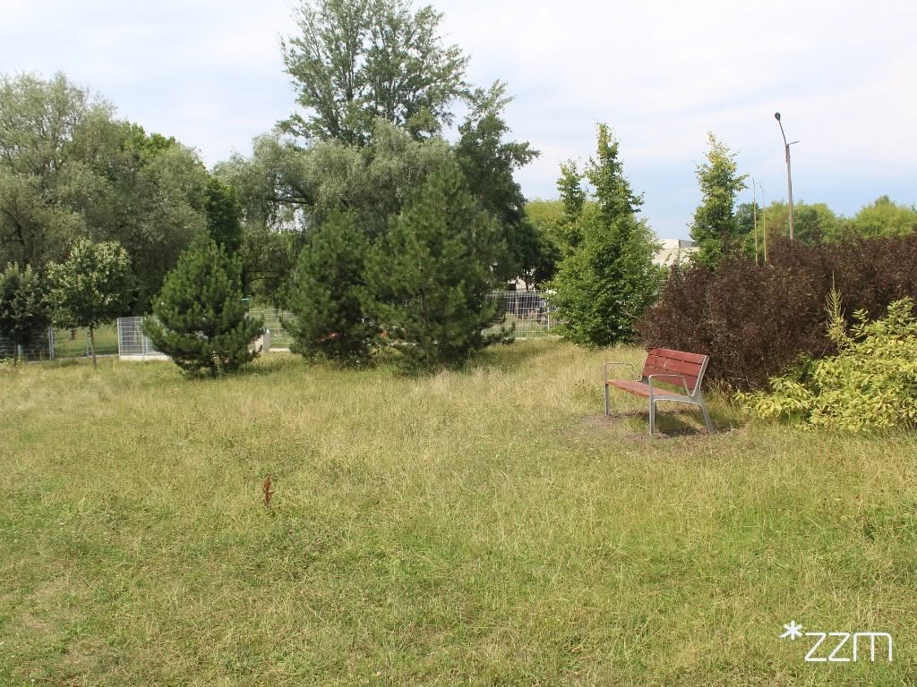 Kolejne bezpieczne miejsce dla czworonogów w Poznaniu