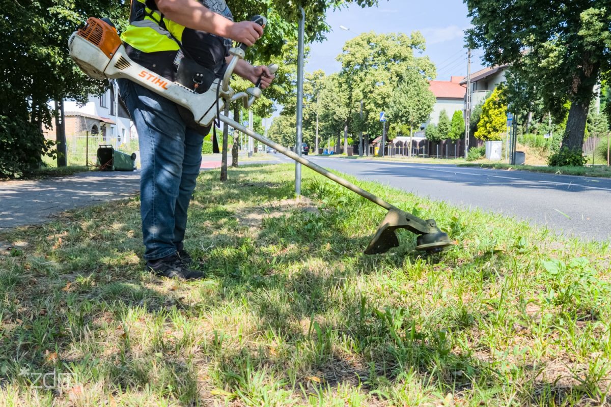 ZDM o koszeniu trawy przy ulicach: "w tym roku jest z tym problem", posypały się kary dla wykonawców
