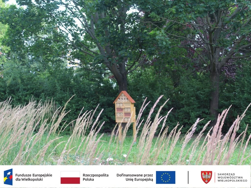 fot. ZZM Poznań / FB