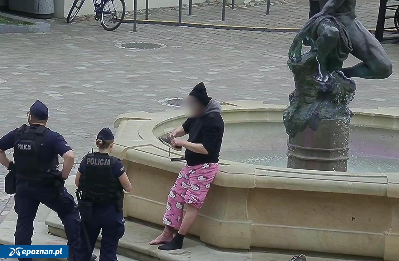 fot. Straż Miejska Miasta Poznania