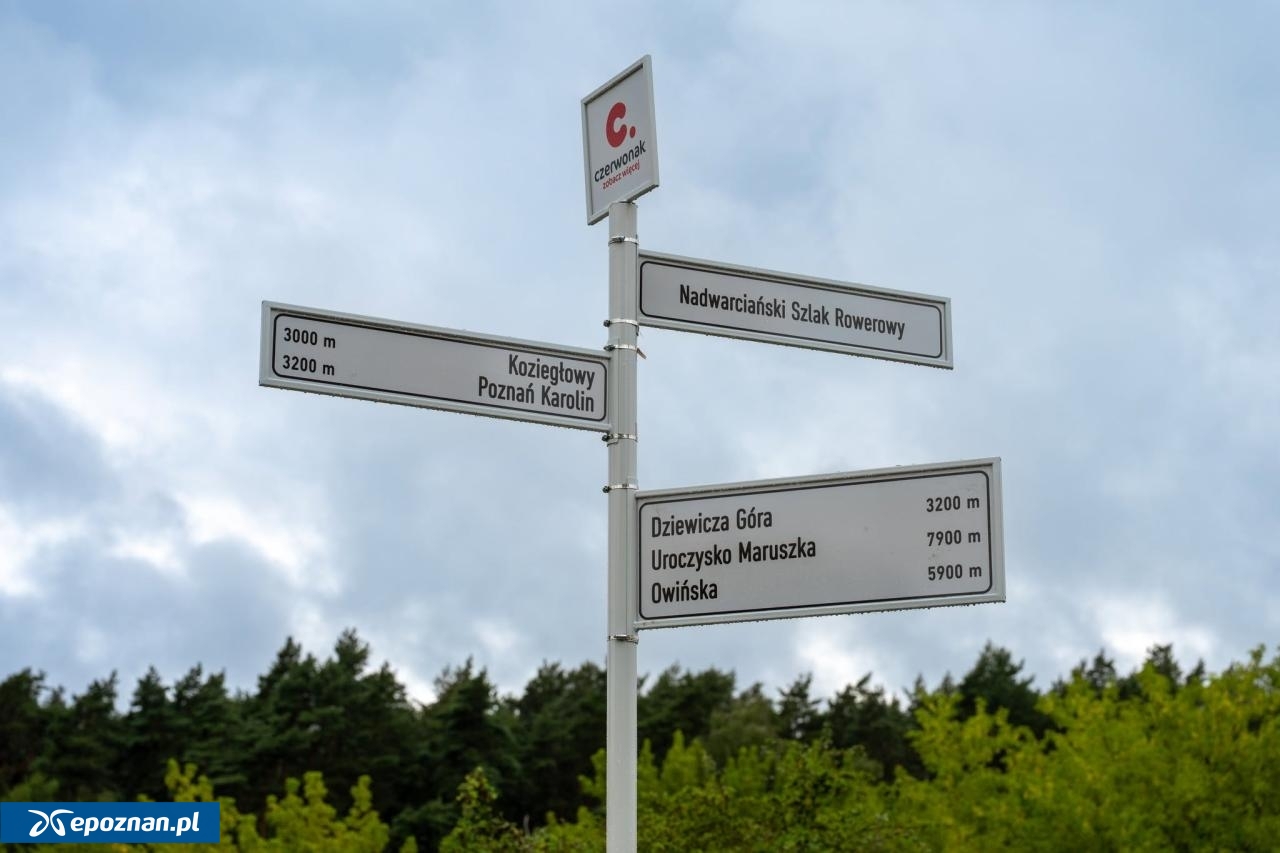 fot. UM Poznań