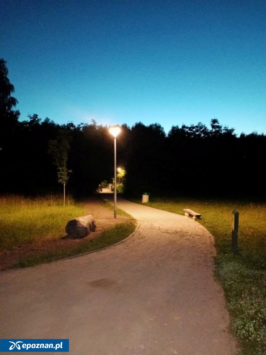 fot. ZZM Poznań / FB