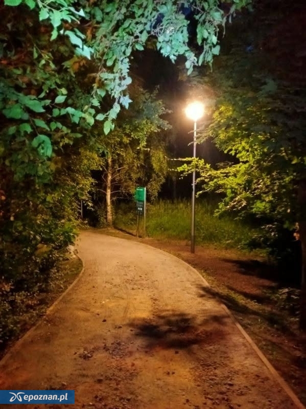 fot. ZZM Poznań / FB