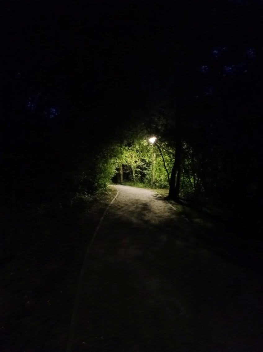 Nowość w poznańskim parku. "Zachęcamy do odwiedzenia również w nocnej odsłonie"