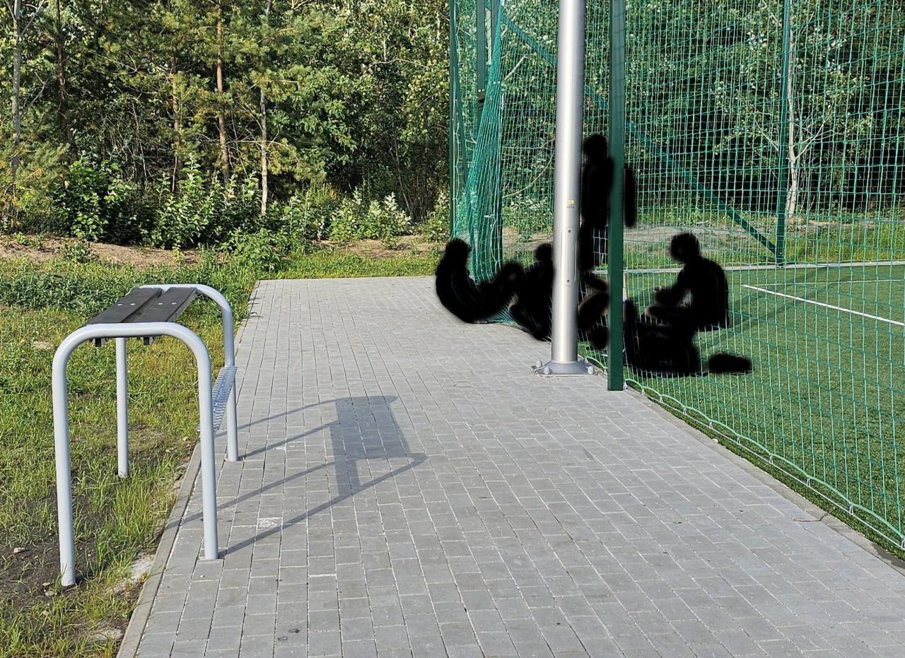 Takie sceny w podpoznańskiej miejscowości. "Tak nie robimy"