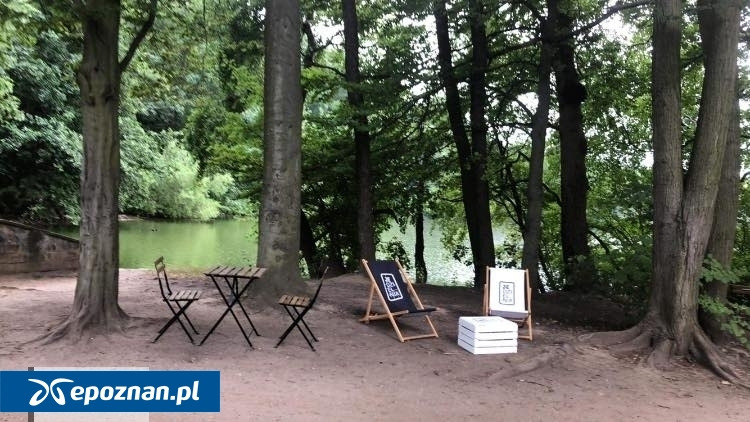 Dania za jedyne 20 złotych dziś będą serwowane nad jednym z poznańskich jezior!