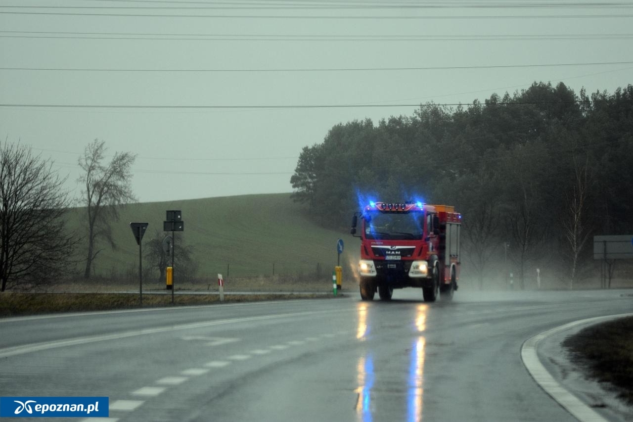 Niebezpieczna pogoda w Wielkopolsce. Strażacy odebrali już kilkadziesiąt zgłoszeń