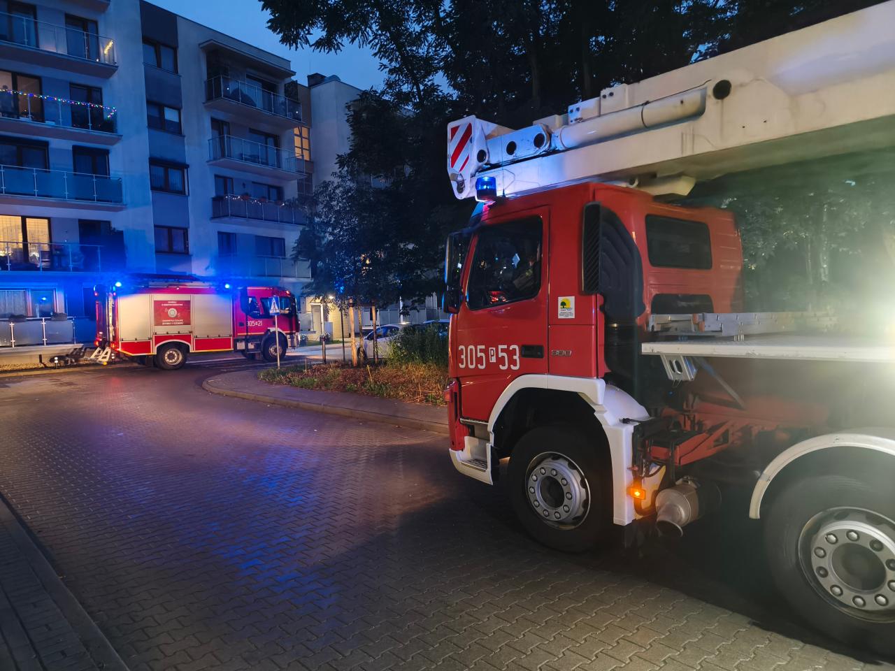 Akcja strażaków przy poznańskiej ulicy