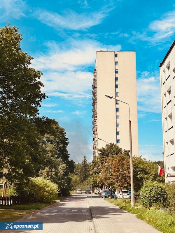 fot. Czytelnik