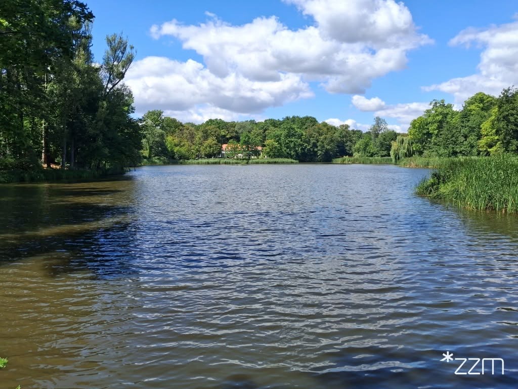 Łowią ryby w poznańskim parku. "To nie łowisko!"