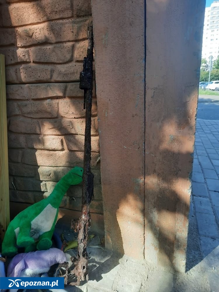 fot. Straż Miejska Miasta Poznania